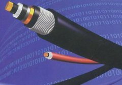 行业新闻-尊龙时凯