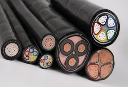 新闻动态-尊龙时凯