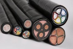 新闻动态-尊龙时凯