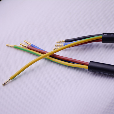 新闻动态-尊龙时凯