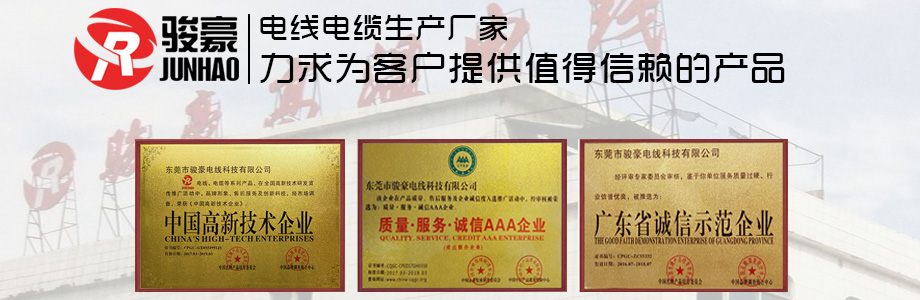 尊龙时凯电线声誉证书展示