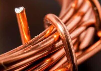 新闻动态-尊龙时凯