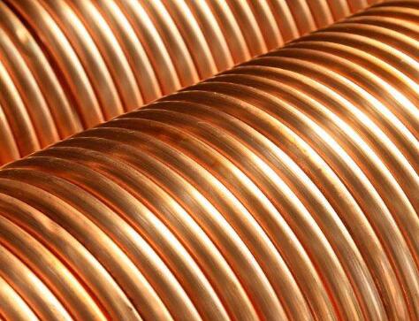 新闻动态-尊龙时凯