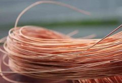 新闻动态-尊龙时凯