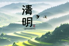 新闻动态-尊龙时凯